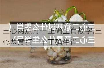 三心两意打一正确生肖数字,三心两意打一个正确生肖