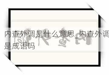 内查外调是什么意思_内查外调是成语吗