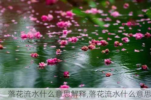 落花流水什么意思解释,落花流水什么意思