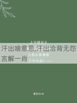 汗出啥意思,汗出洽背无怨言解一肖