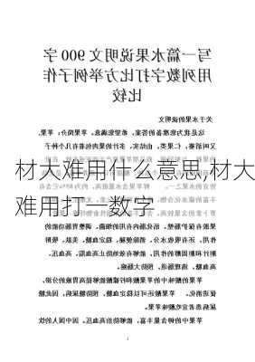 材大难用什么意思,材大难用打一数字