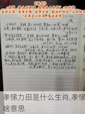 孝悌力田是什么生肖,孝悌啥意思