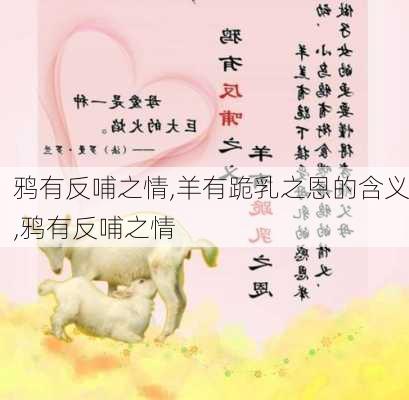 鸦有反哺之情,羊有跪乳之恩的含义,鸦有反哺之情