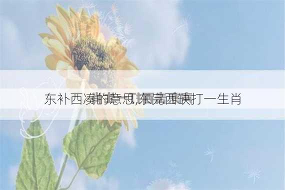 东补西凑的意思,东完西缺打一生肖