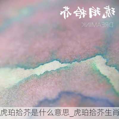 虎珀拾芥是什么意思_虎珀拾芥生肖