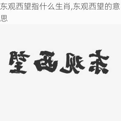 东观西望指什么生肖,东观西望的意思