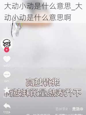 大动小动是什么意思_大动小动是什么意思啊