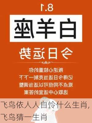 飞鸟依人人自怜什么生肖,飞鸟猜一生肖