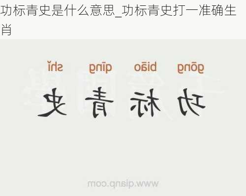 功标青史是什么意思_功标青史打一准确生肖