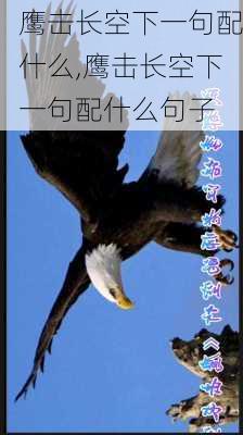 鹰击长空下一句配什么,鹰击长空下一句配什么句子