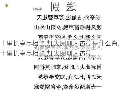 十里长亭尽相望,灯火阑珊人彷徨是什么肖,十里长亭尽相望,灯火阑珊人彷徨