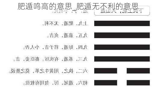 肥遁鸣高的意思_肥遁无不利的意思