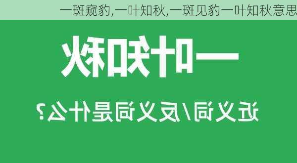 一斑窥豹,一叶知秋,一斑见豹一叶知秋意思