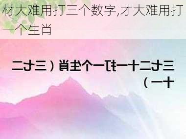 材大难用打三个数字,才大难用打一个生肖