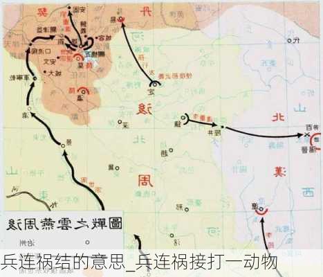 兵连祸结的意思_兵连祸接打一动物