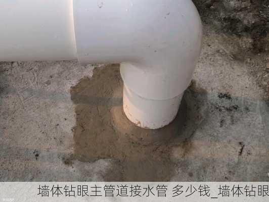 墙体钻眼主管道接水管 多少钱_墙体钻眼