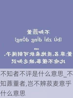 不知者不评是什么意思_不知薡蕫者,岂不辨菽麦意乎什么意思