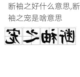 断袖之好什么意思,断袖之宠是啥意思