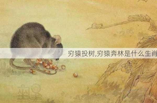 穷猿投树,穷猿奔林是什么生肖