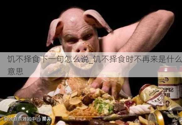 饥不择食下一句怎么说_饥不择食时不再来是什么意思