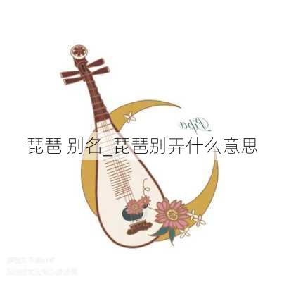 琵琶 别名_琵琶别弄什么意思