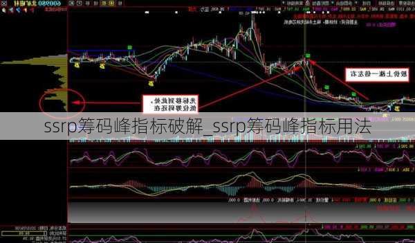 ssrp筹码峰指标破解_ssrp筹码峰指标用法