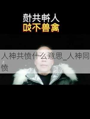 人神共愤什么意思_人神同愤