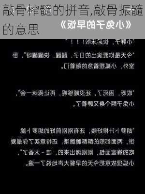 敲骨榨髓的拼音,敲骨振髓的意思