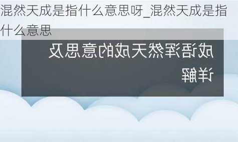 混然天成是指什么意思呀_混然天成是指什么意思