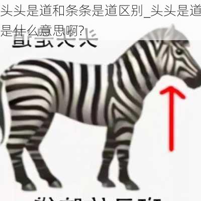 头头是道和条条是道区别_头头是道是什么意思啊?