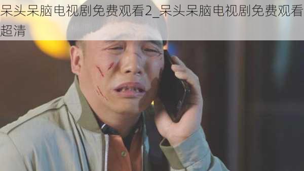 呆头呆脑电视剧免费观看2_呆头呆脑电视剧免费观看超清