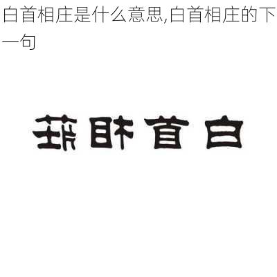 白首相庄是什么意思,白首相庄的下一句