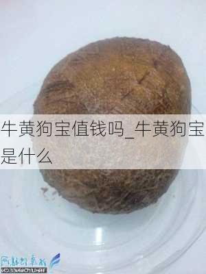 牛黄狗宝值钱吗_牛黄狗宝是什么