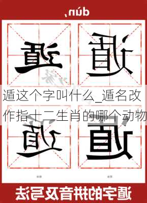 遁这个字叫什么_遁名改作指十二生肖的哪个动物