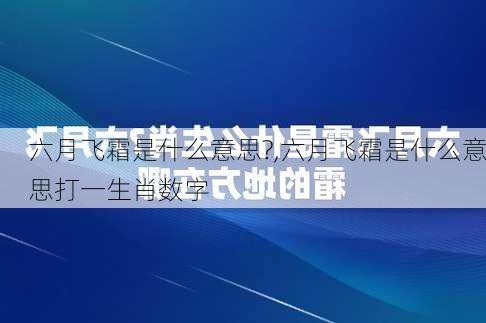 六月飞霜是什么意思?,六月飞霜是什么意思打一生肖数字