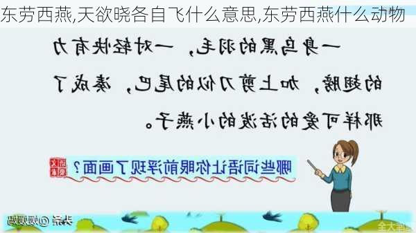 东劳西燕,天欲晓各自飞什么意思,东劳西燕什么动物