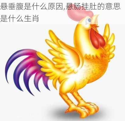 悬垂腹是什么原因,悬肠挂肚的意思是什么生肖