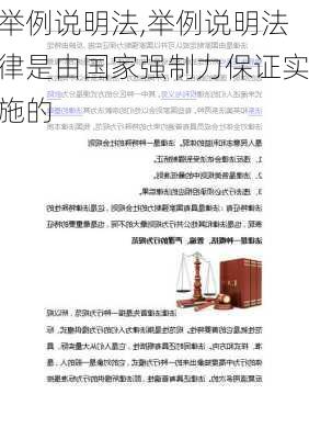 举例说明法,举例说明法律是由国家强制力保证实施的