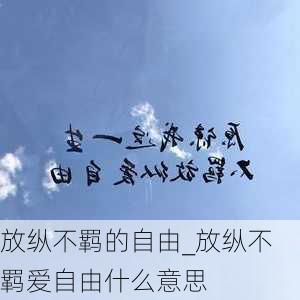 放纵不羁的自由_放纵不羁爱自由什么意思