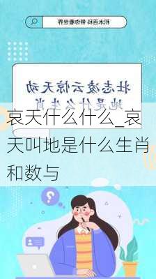 哀天什么什么_哀天叫地是什么生肖和数与