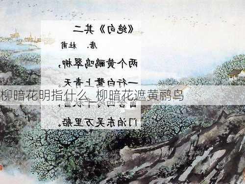 柳暗花明指什么_柳暗花遮黄鹂鸟