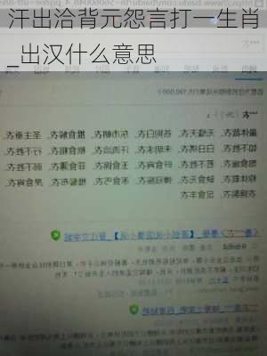 汗出洽背元怨言打一生肖_出汉什么意思