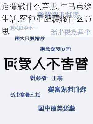 蹈覆辙什么意思,牛马点缀生活,冤种重蹈覆辙什么意思