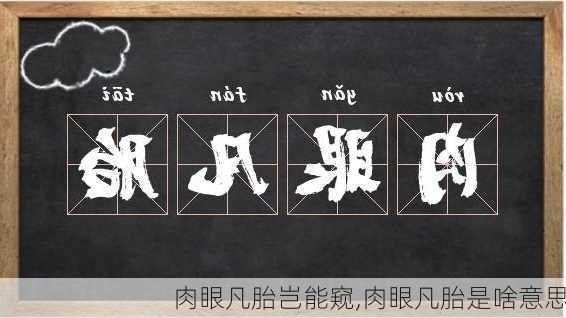 肉眼凡胎岂能窥,肉眼凡胎是啥意思