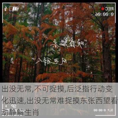 出没无常,不可捉摸,后泛指行动变化迅速,出没无常难捉摸东张西望看动静解生肖