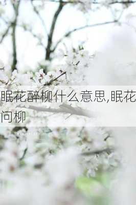 眠花醉柳什么意思,眠花问柳