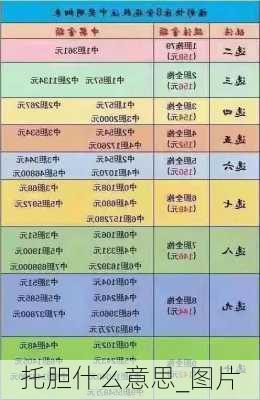 托胆什么意思_图片