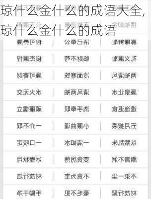 琼什么金什么的成语大全,琼什么金什么的成语