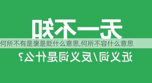 何所不有是褒是贬什么意思,何所不容什么意思