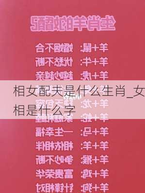 相女配夫是什么生肖_女相是什么字